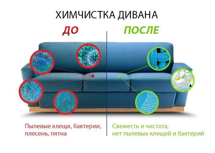 Кто из менделеевцев выиграл бесплатную химчистку дивана?