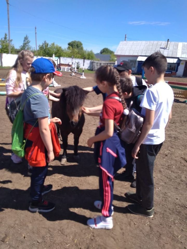 Менделеевские школьники посетили конноспортивную школу