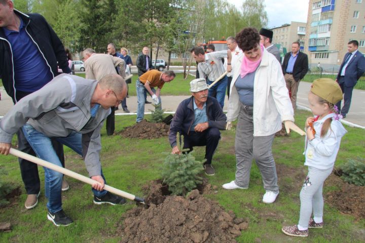 В Менделеевске посадили голубые ели у мемориала чернобыльцам