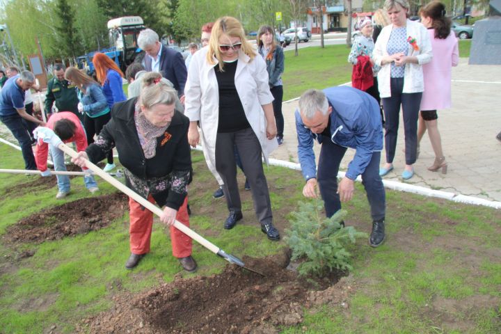 В Менделеевске посадили голубые ели у мемориала чернобыльцам