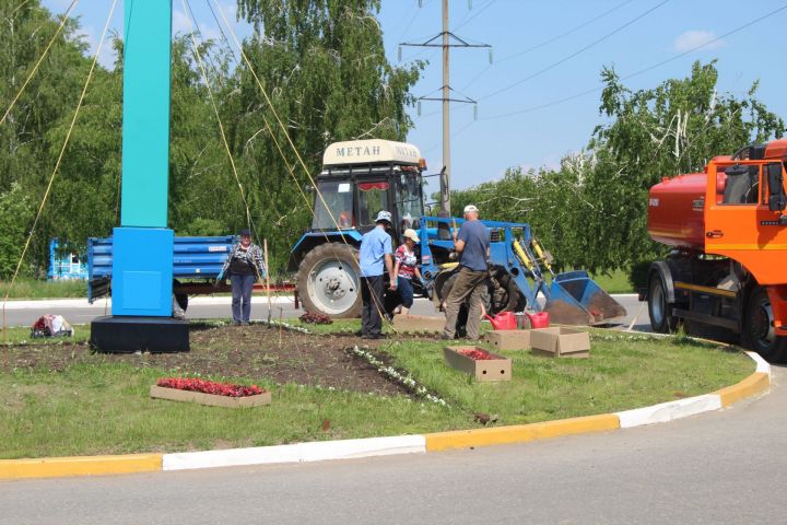 В городе уже высажено более 10 тысяч цветов