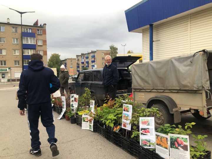 В Менделеевске проходят осенние ярмарки