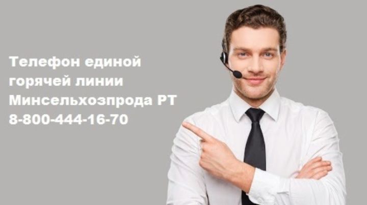 Проконсультироваться по всем вопросам сельского хозяйства можно в колл-центре Минсельхозпрода РТ