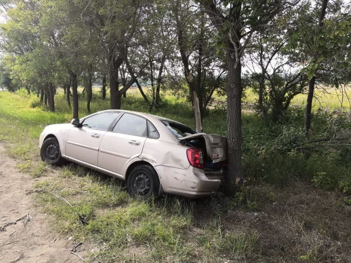 В&nbsp;Татарстане в&nbsp;ДТП легковушку отбросило на&nbsp;дерево&nbsp;