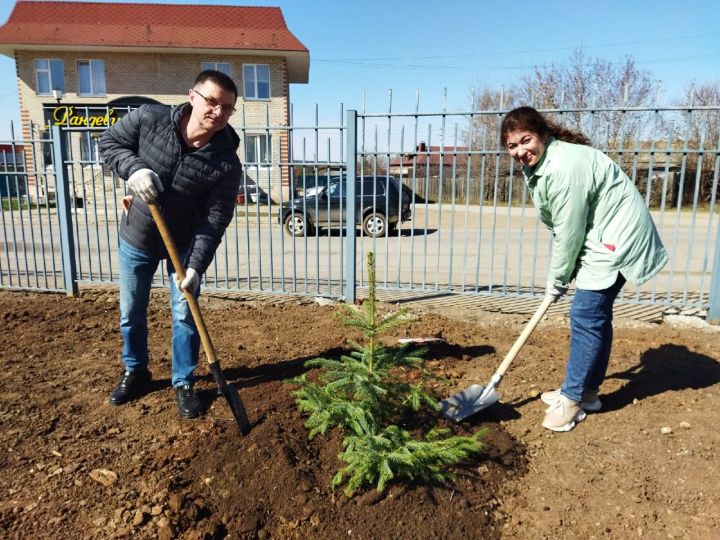 В Менделеевской районной больнице появилась «Аллея медиков»