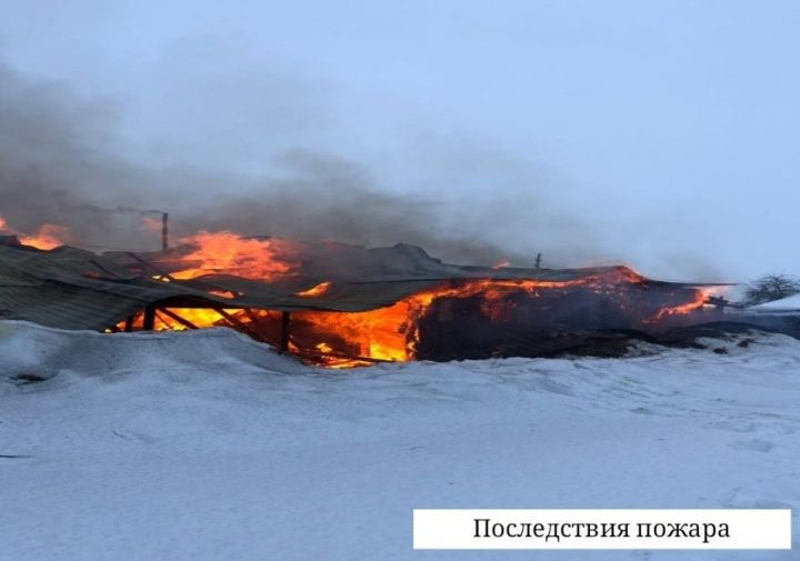 В Менделеевском районе сгорели дом, баня, гараж и сарай