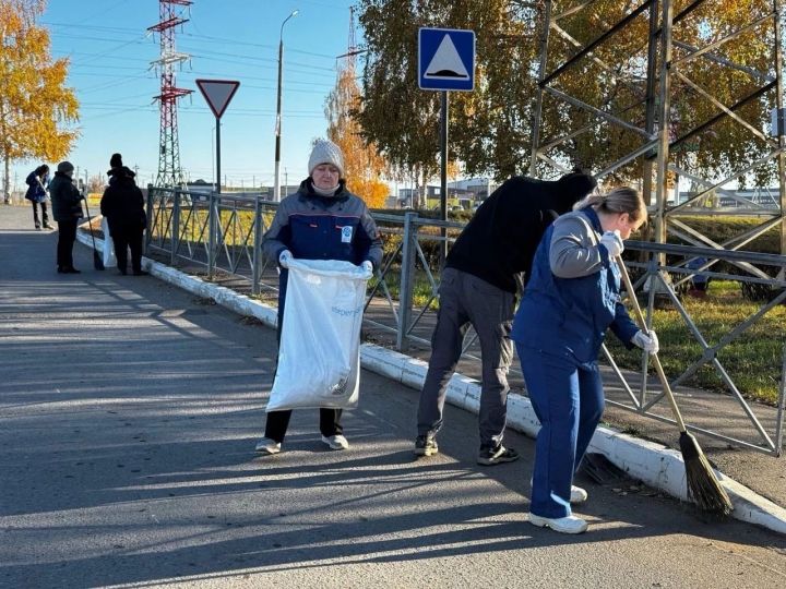 Более 600 менделеевцев навели чистоту в Менделеевске