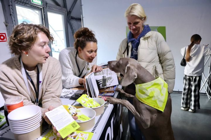 Второй детский краеведческий книжный фестиваль «Мы и Менделеевск» посетили более трех тысяч участников