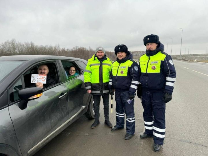 Профилактика ДТП: новые переходы и меры безопасности на трассах Татарстана