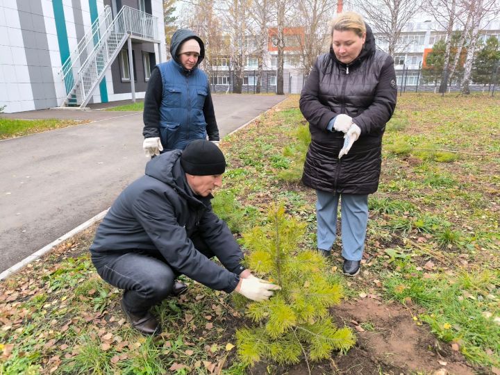 На территории Татарской гимназии «Мирас» открыли Аллею Памяти