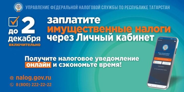 2 декабря 2024 года — срок уплаты имущественных налогов