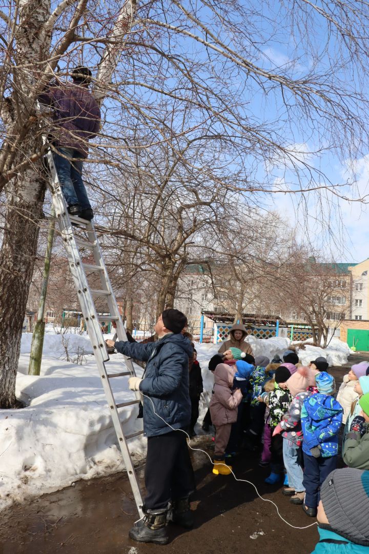 В Менделеевском детском саду «Крепыш» встретили птиц, повесив новые скворечники