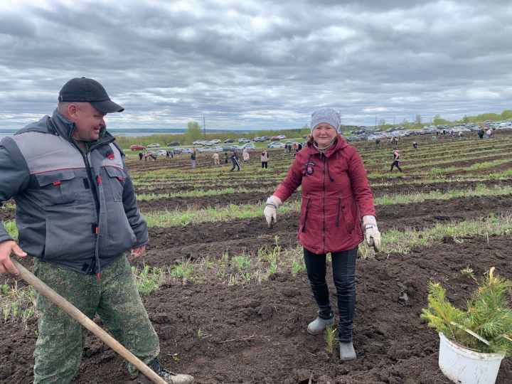 В Менделеевском районе проходит масштабная экологическая акция «Урман-Фест»