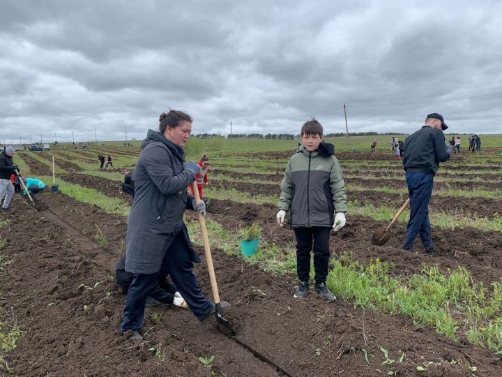 В Менделеевском районе проходит масштабная экологическая акция «Урман-Фест»