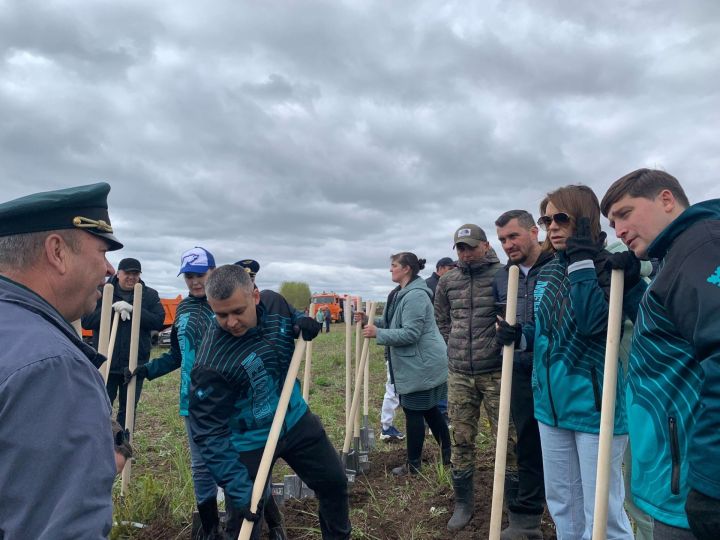 В Менделеевском районе проходит масштабная экологическая акция «Урман-Фест»