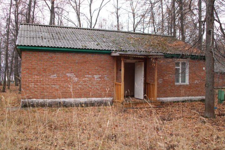 В Менделеевске создают онлайн-банк фотографий Детского лагеря «Юниор»