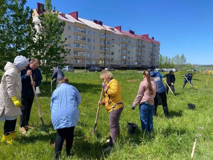 В Менделеевске посадили 50 саженцев елей