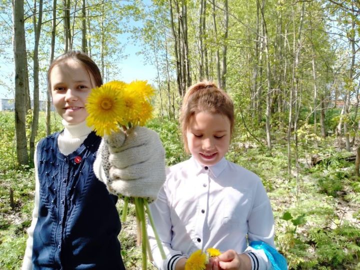 Первые Брюшлинской школы приняли участие в экологическом десанте «Чистый берег»