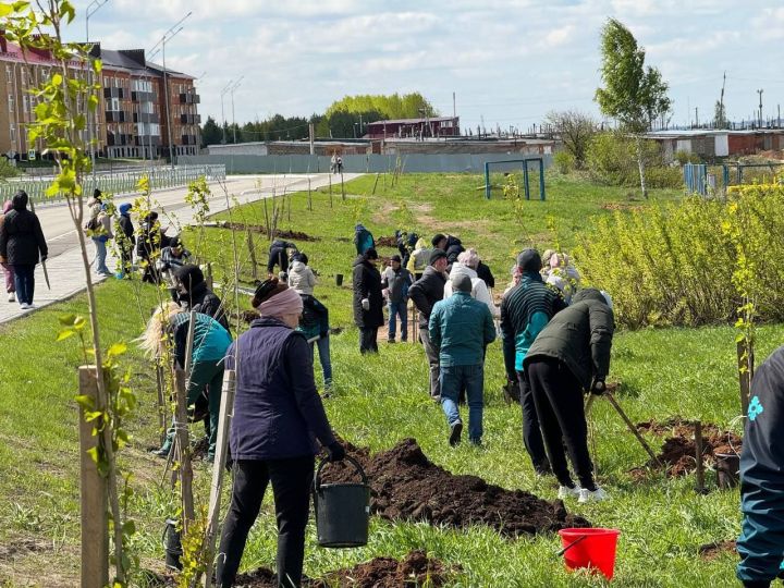 В Менделеевске посадили 50 саженцев в рамках Международной акции «Сад памяти»