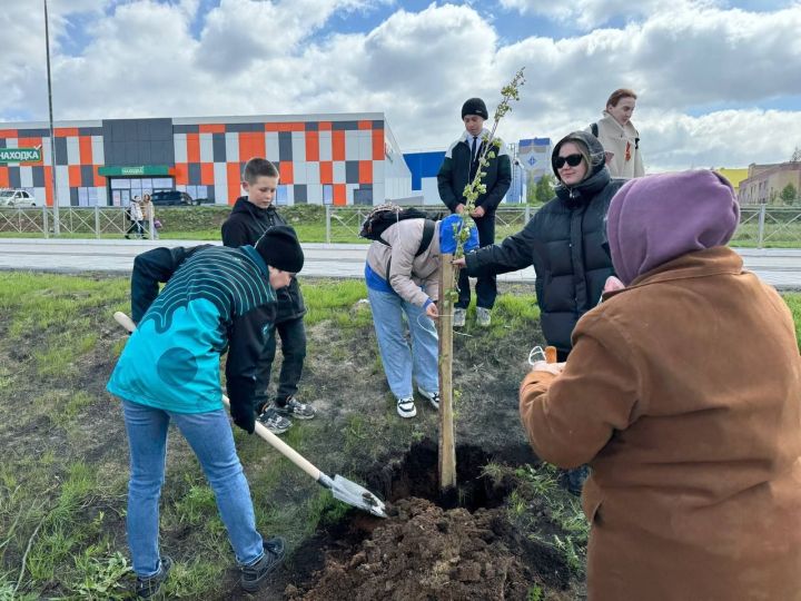В Менделеевске посадили 50 саженцев в рамках Международной акции «Сад памяти»