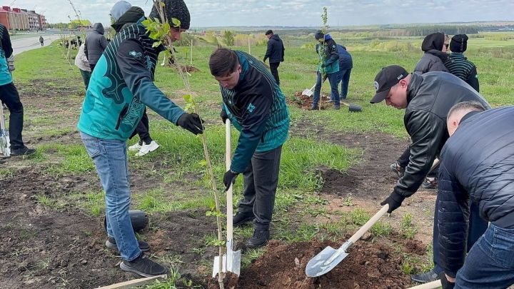 В Менделеевске посадили 50 саженцев в рамках Международной акции «Сад памяти»