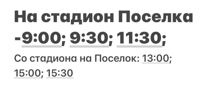 Менделеевцы смогут добраться до места проведения Сабантуя на автобусе