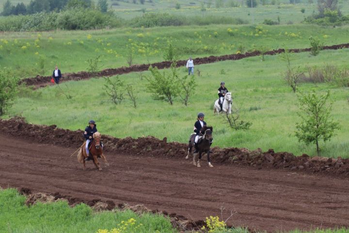 В Менделеевске в рамках Сабантуя провели зрелищные конные скачки