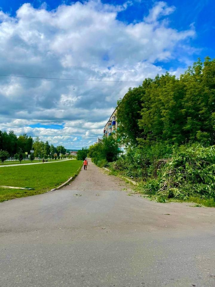 В Менделеевске продолжается уход за зелеными насаждениями