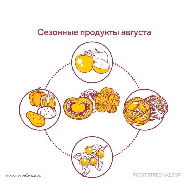 Запасаемся витаминами на зиму: какими сезонными продуктами богат август