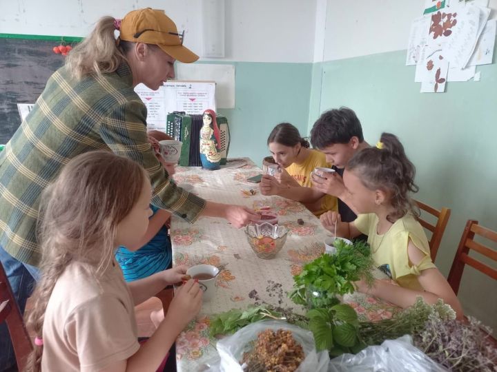 Здоровье в каждый дом: в Менделеевском районе прошла минута здоровья «Травинка-витаминка»