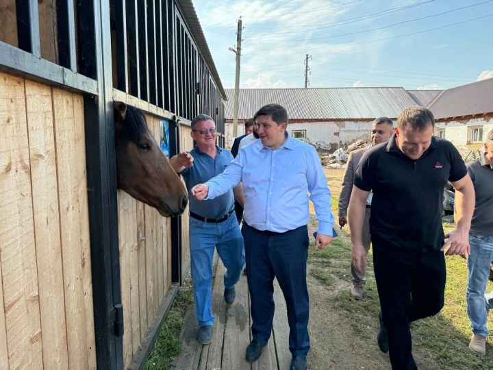 Финальная стадия ремонта конно-спортивной школы «Фаворит» находится на пороге завершения