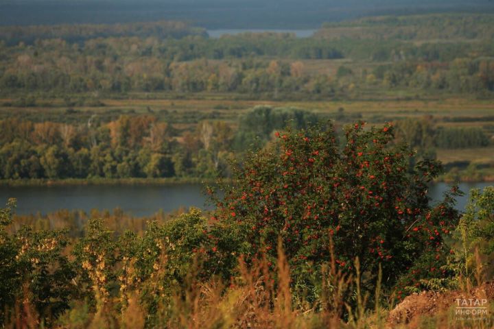 В Татарстан на этой неделе вновь придет 20-градусное тепло