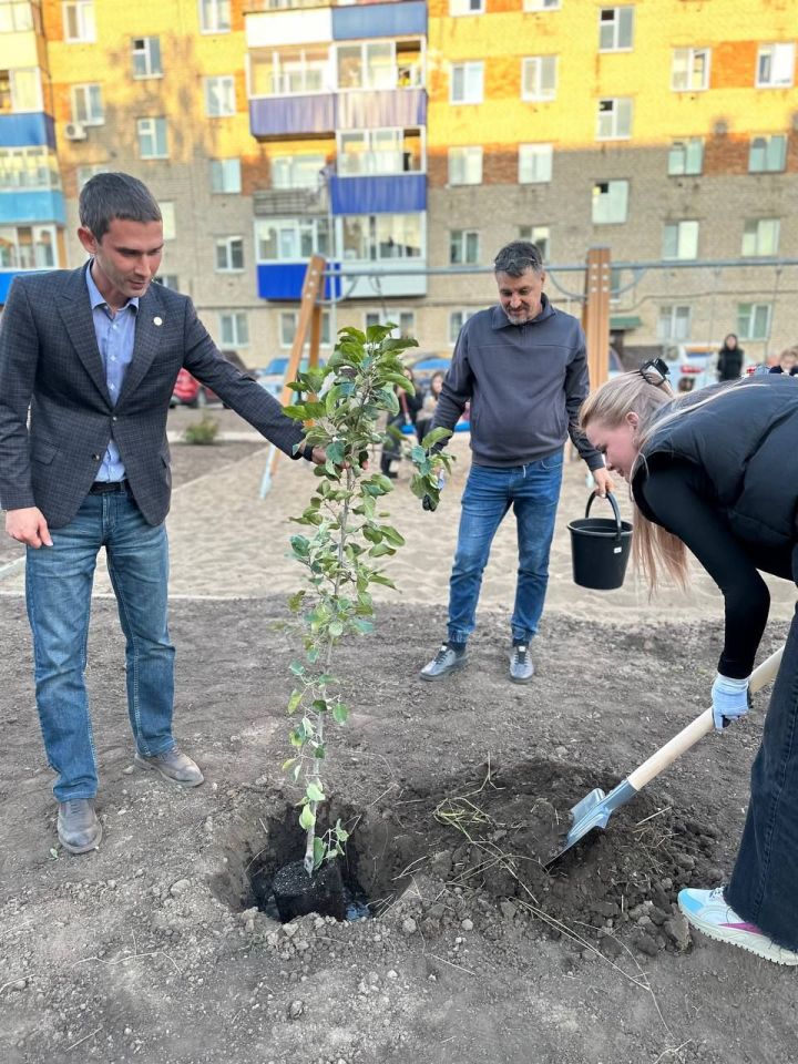 В Менделеевске по улице Бурмистрова высадили деревья