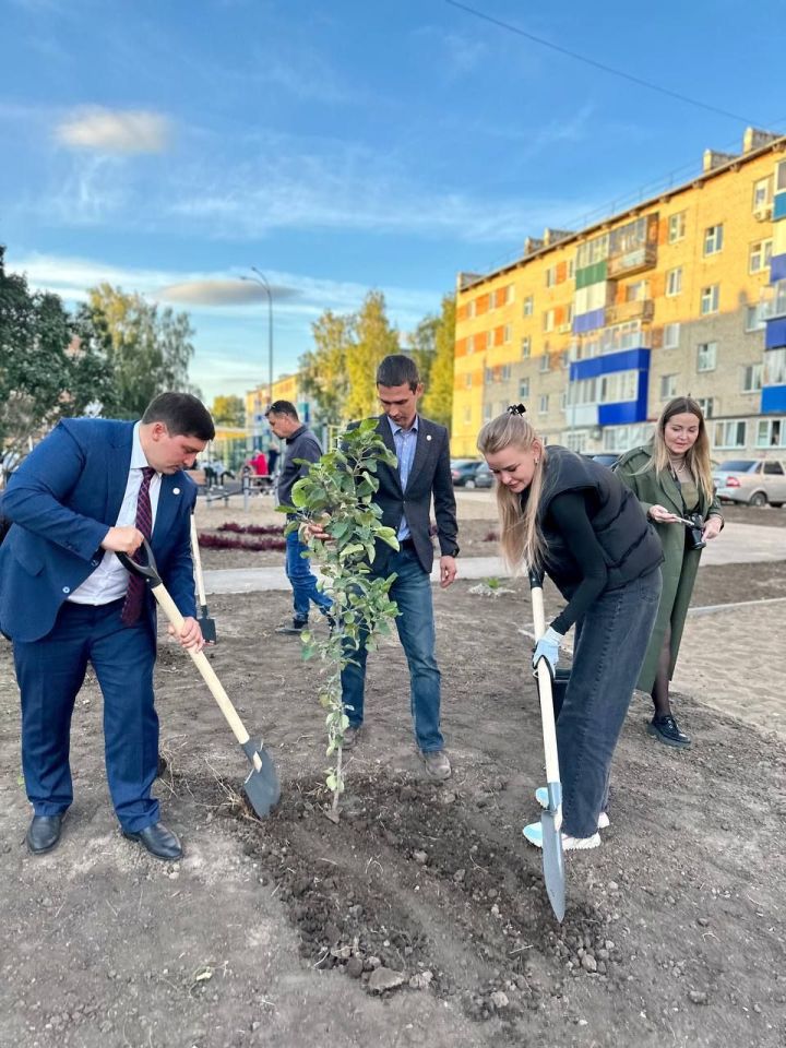 В Менделеевске по улице Бурмистрова высадили деревья